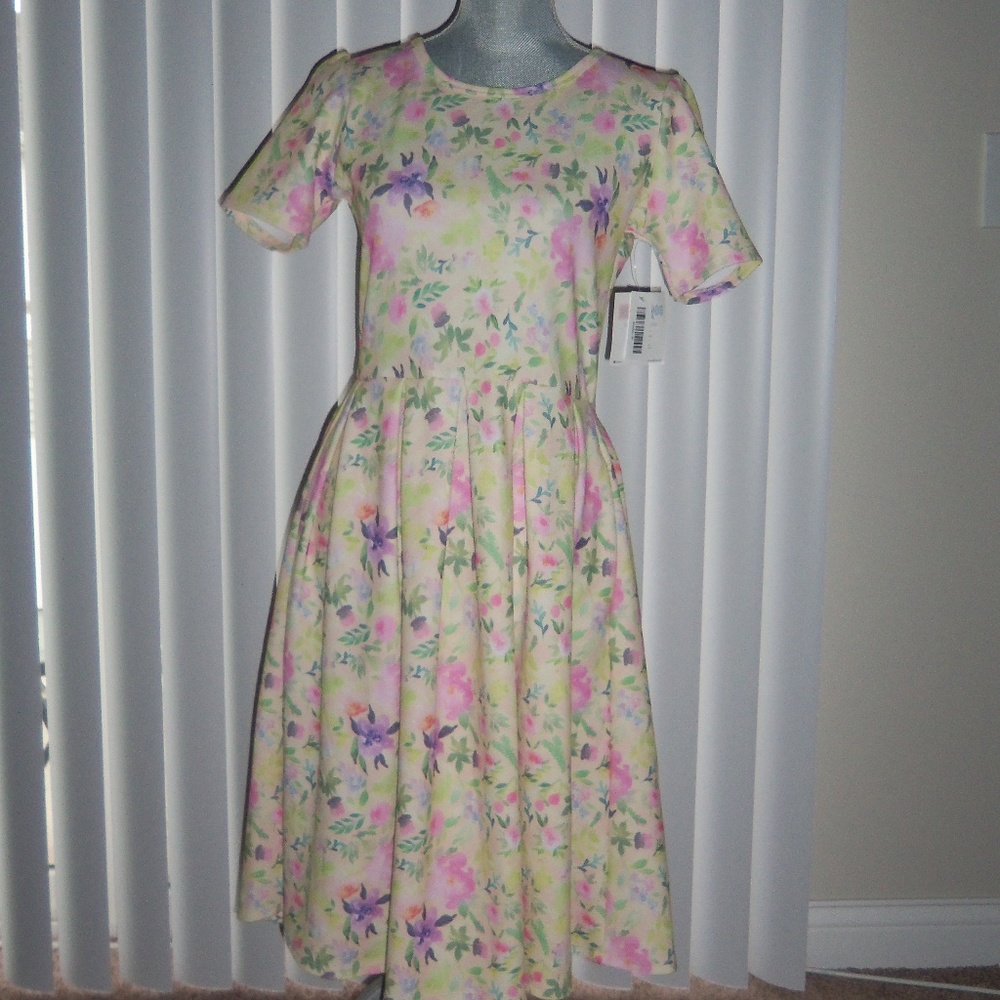 NWT! Lularoe Amelia Size M!!